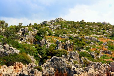 Akdeniz kıyılarında
