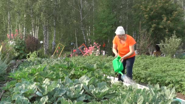 Pensionar Își Udă Grădina Legume — Videoclip de stoc