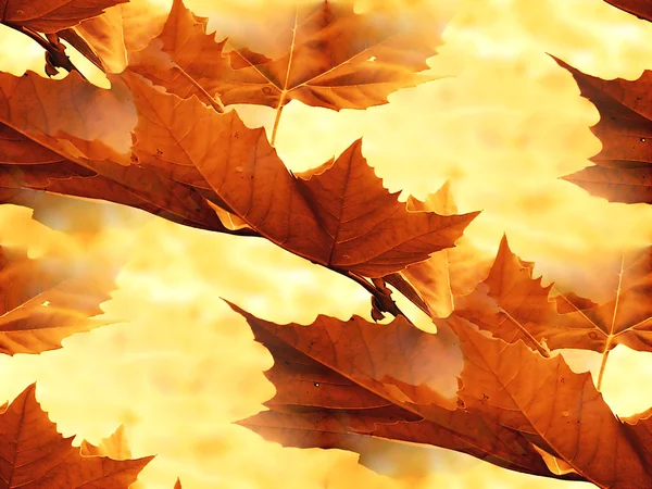 Herbst — Stockfoto