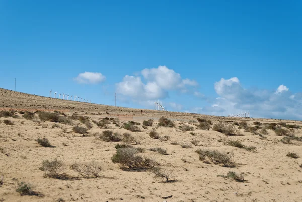 Fuerteventura — Photo