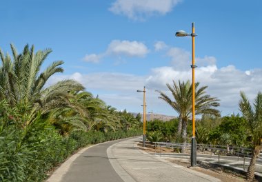 Fuerteventura