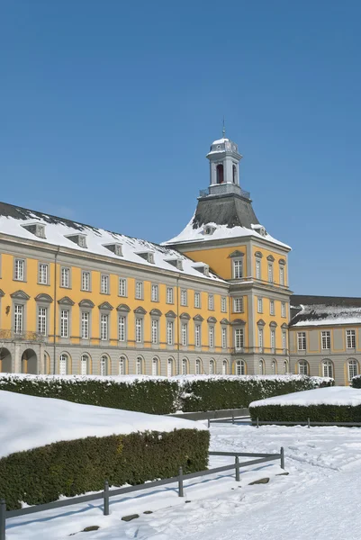 Universidad de Bonn en invierno — Foto de Stock