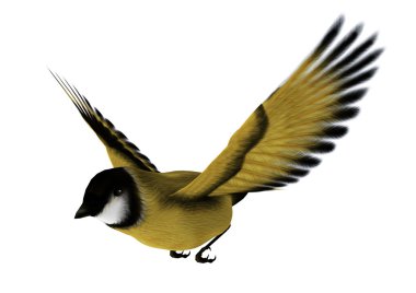 uçan sakası