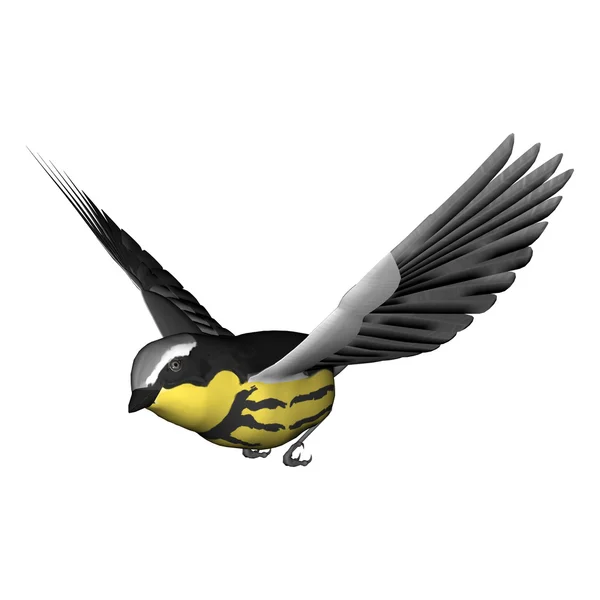 Flying Warbler — Stock Photo, Image