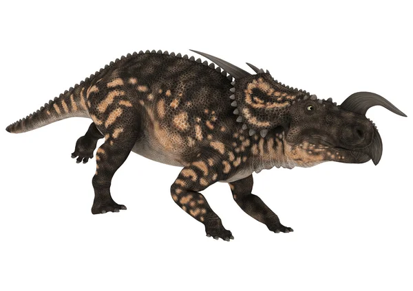 Динозавр einiosaurus — стокове фото