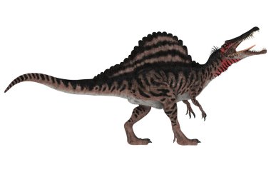 Dinosaur Spinosaurus clipart