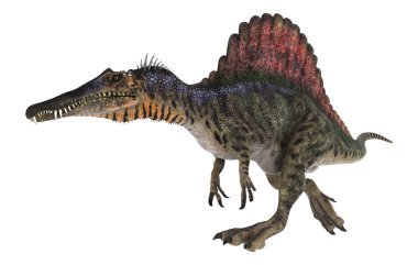 dinozor spinosaurus
