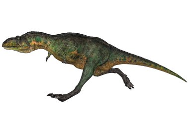 dinozor aucasaurus