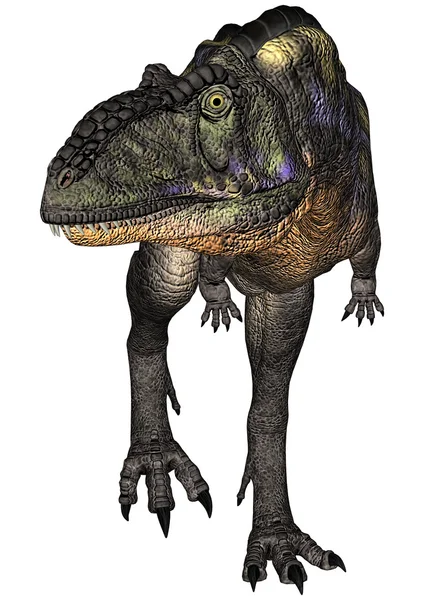 공룡 aucasaurus — 스톡 사진