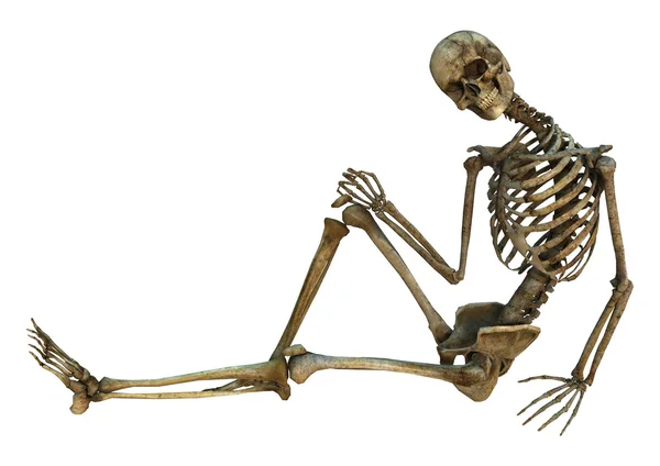 Smiling Skeleton — Stock Photo, Image