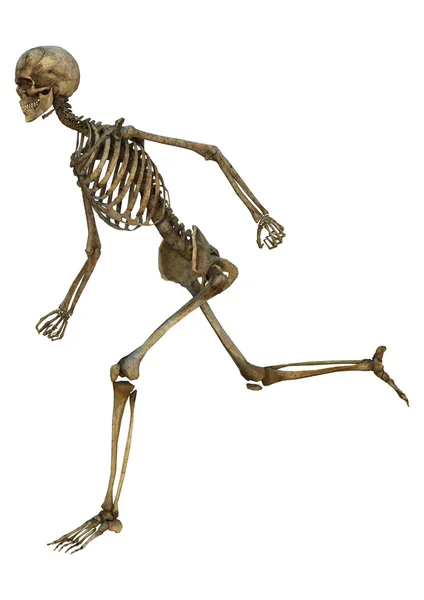 Running Skeleton — Stock Photo, Image