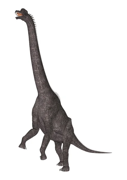 Brachiozaur dinozaur — Zdjęcie stockowe