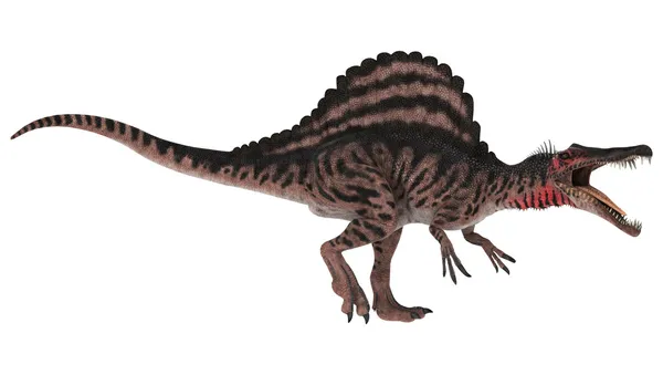 Динозавр Спинозавр — стоковое фото