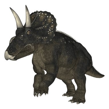 dinozor diceratops
