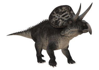dinozor zuniceratops