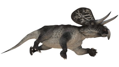 dinozor zuniceratops