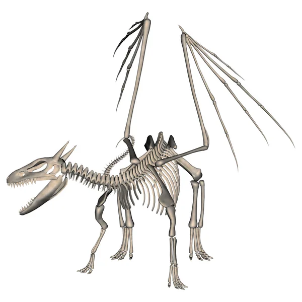 Dragon Skeleton — Stock Photo, Image