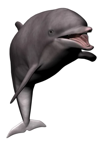 Smiling Dolphin — Stock Photo, Image