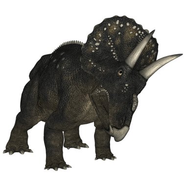 dinozor diceratops