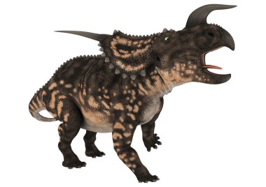 dinozor einiosaurus