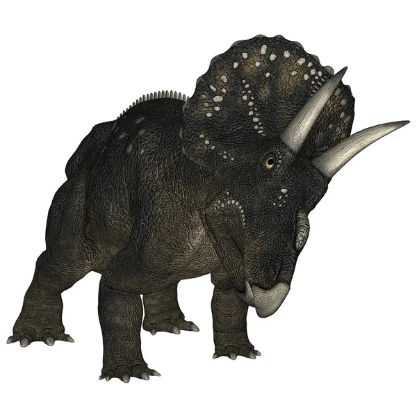 Dinosaur Diceratops — Stockfoto