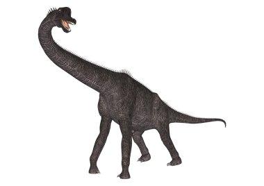 Dinosaur Brachiosaurus clipart
