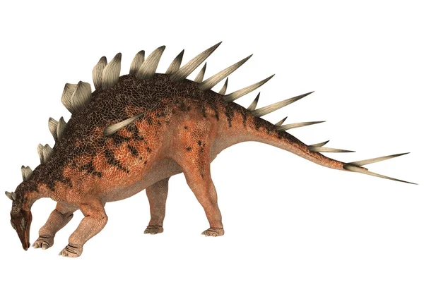 공룡 kentrosaurus — 스톡 사진
