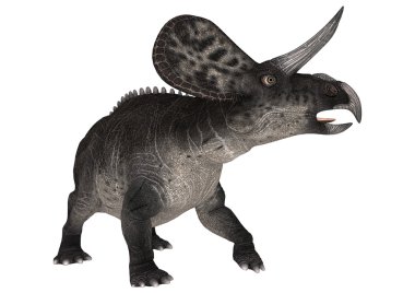 dinozor zuniceratops