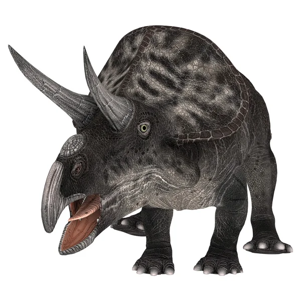 공룡 zuniceratops — 스톡 사진