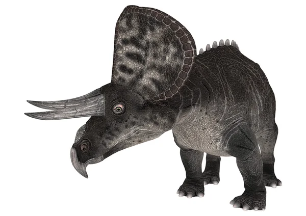 공룡 zuniceratops — 스톡 사진