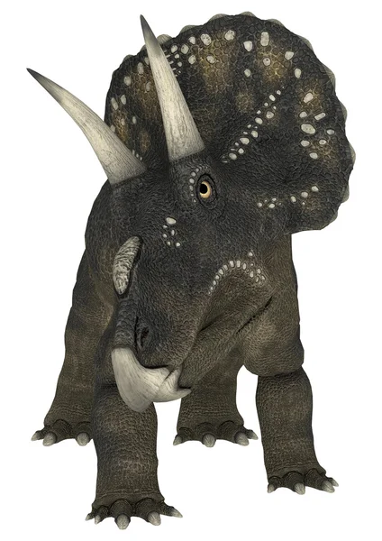 Dinozor diceratops — Stok fotoğraf