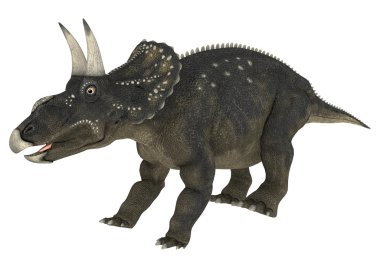 dinozor diceratops