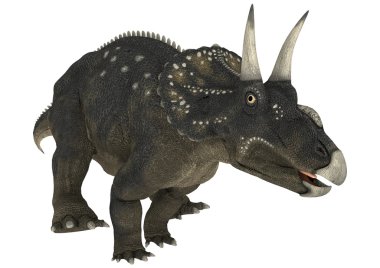 dinozor diceratops