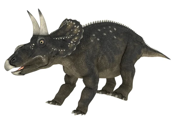恐龙 diceratops — 图库照片