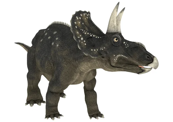 공룡 diceratops — 스톡 사진