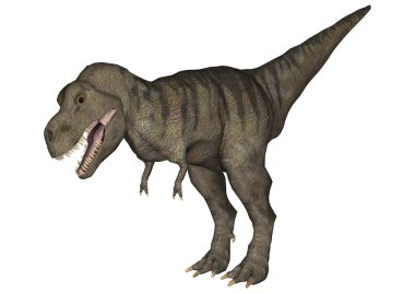 Tyrannosaurus rex
