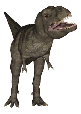 Tyrannosaurus rex
