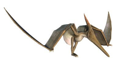 Grounded Pteranodon clipart
