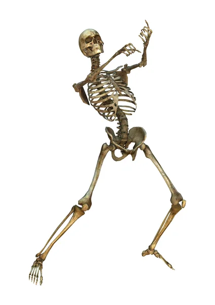 Human Skeleton — Stock Photo, Image