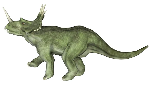 Styracosaurus δεινοσαύρων — Φωτογραφία Αρχείου