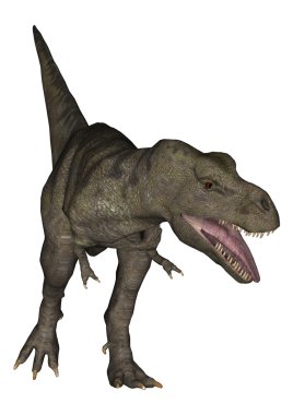 Tyrannosaurus rex