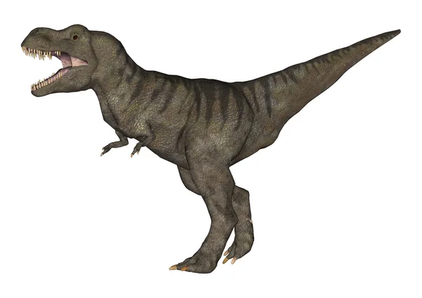 Tyrannosaurus rex — Stok fotoğraf