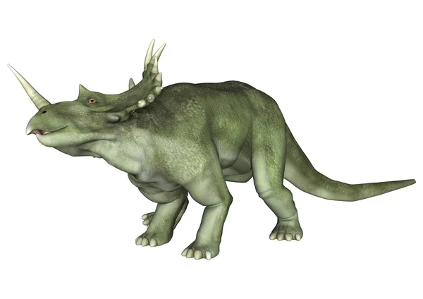 恐竜スティラコサウルス — ストック写真