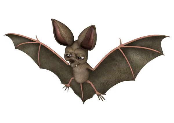 재미 있는 박쥐 — 스톡 사진