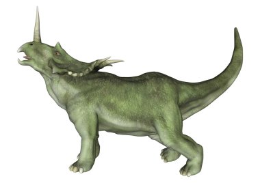 Dinosaur Styracosaurus clipart