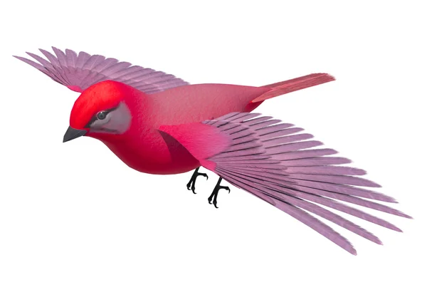 Songbird Tanager — стокове фото