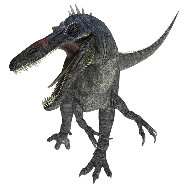 Suchomimus tenerensis — Foto de Stock