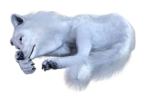 Representación Lobo Ártico Aislado Sobre Fondo Blanco — Foto de Stock