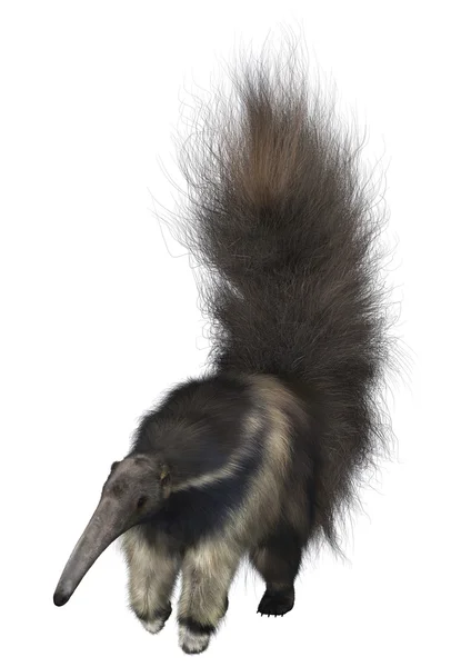 Raksasa anteater — Stok Foto
