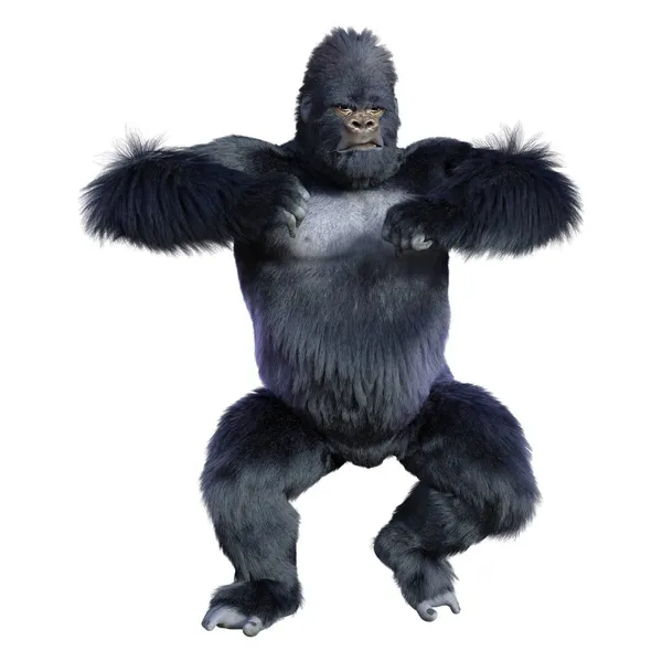 Representación Mono Gorila Negro Aislado Sobre Fondo Blanco — Foto de Stock